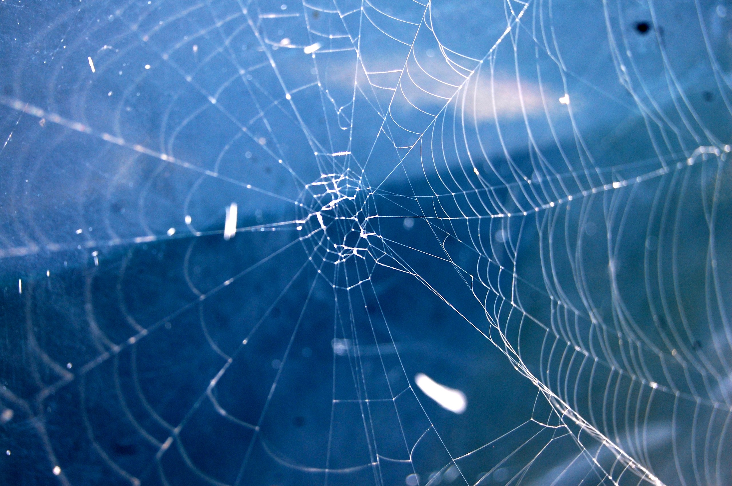 Center of the web