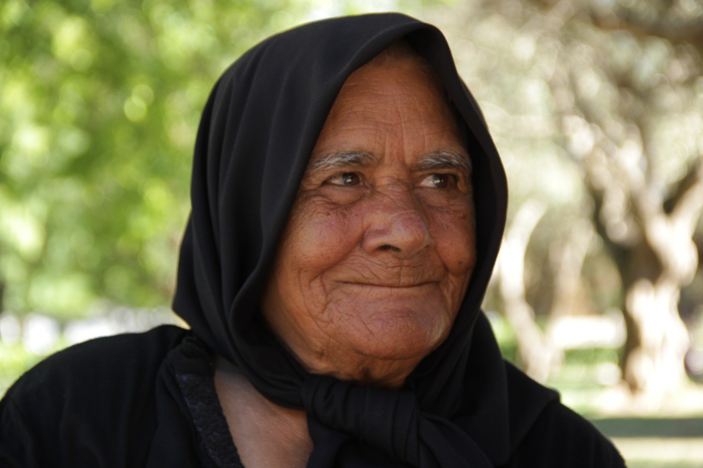Fortune Teller's Gaze